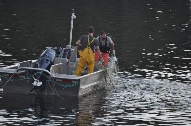 fishermen in boat 